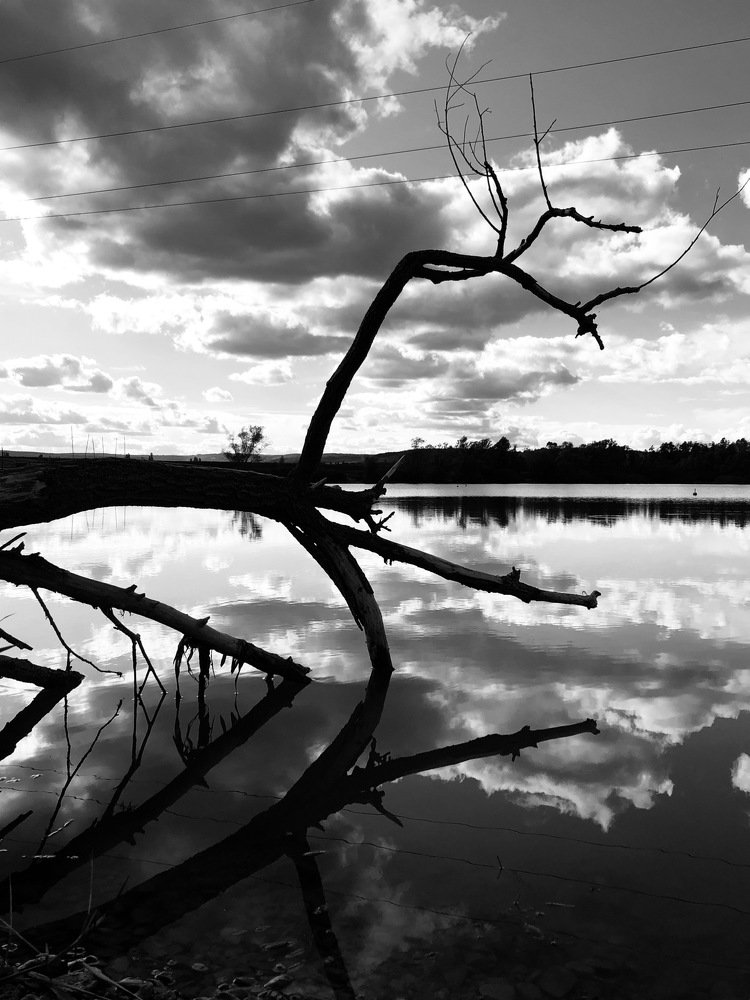 Sunny day on the lake. Солнечный день на озере.