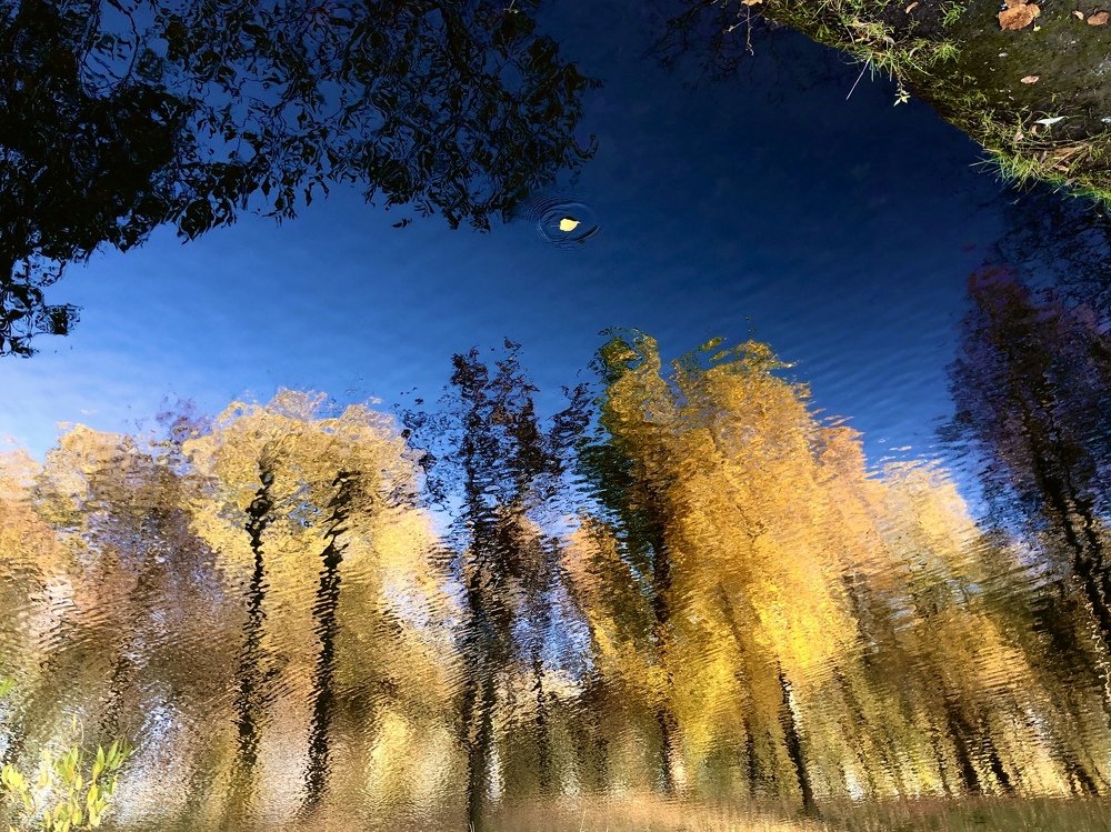 Fragility of  existence.  Зыбкость бытия