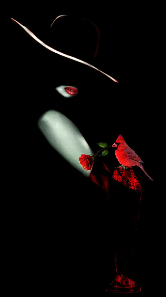 Роза для Незнакомки