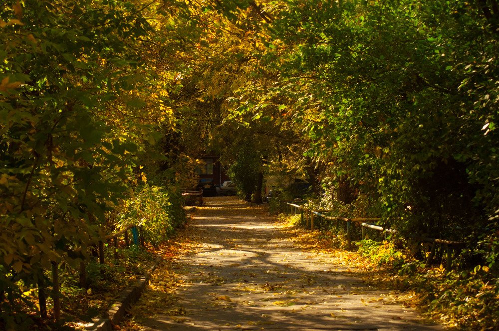 Photograph by Аль****