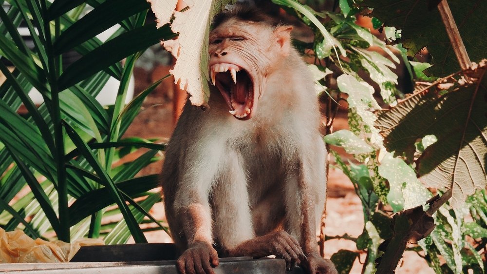 Photograph by Екатерина Шторм