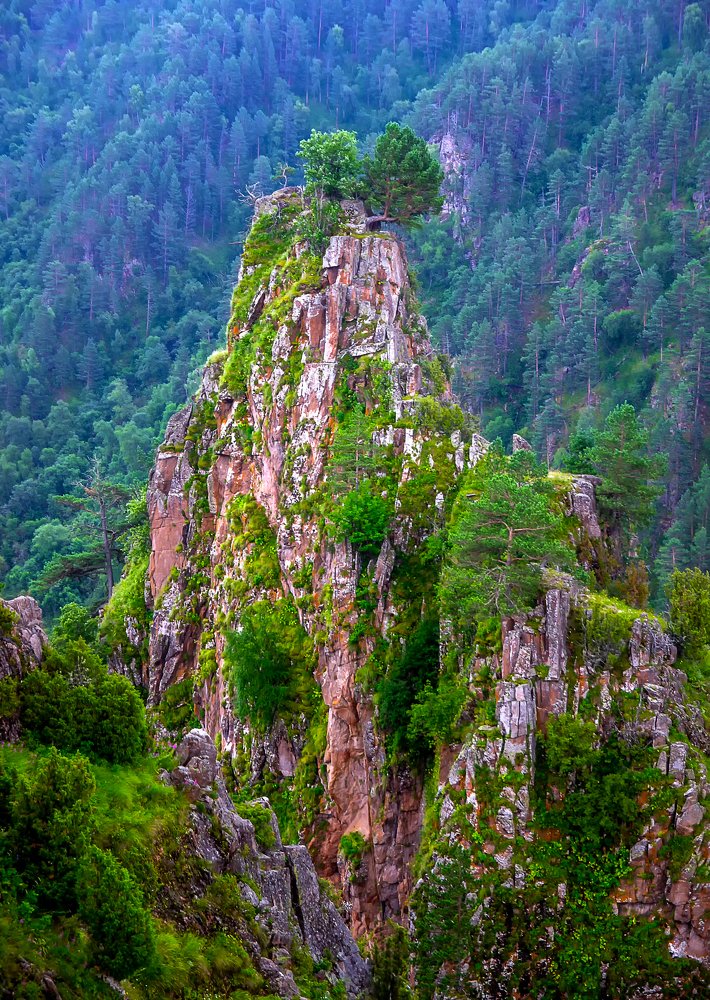 Одинокий страж.