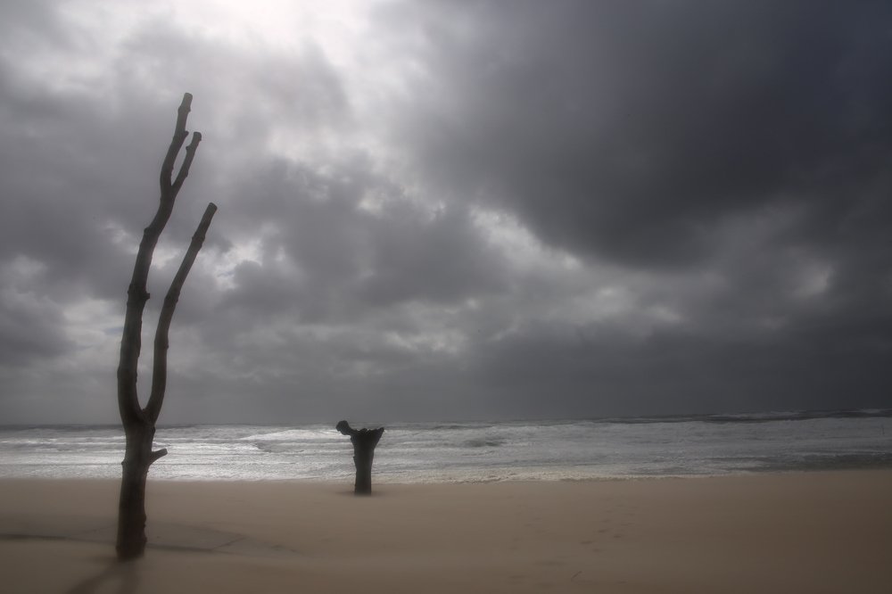 Photograph by Mathijs Meijer