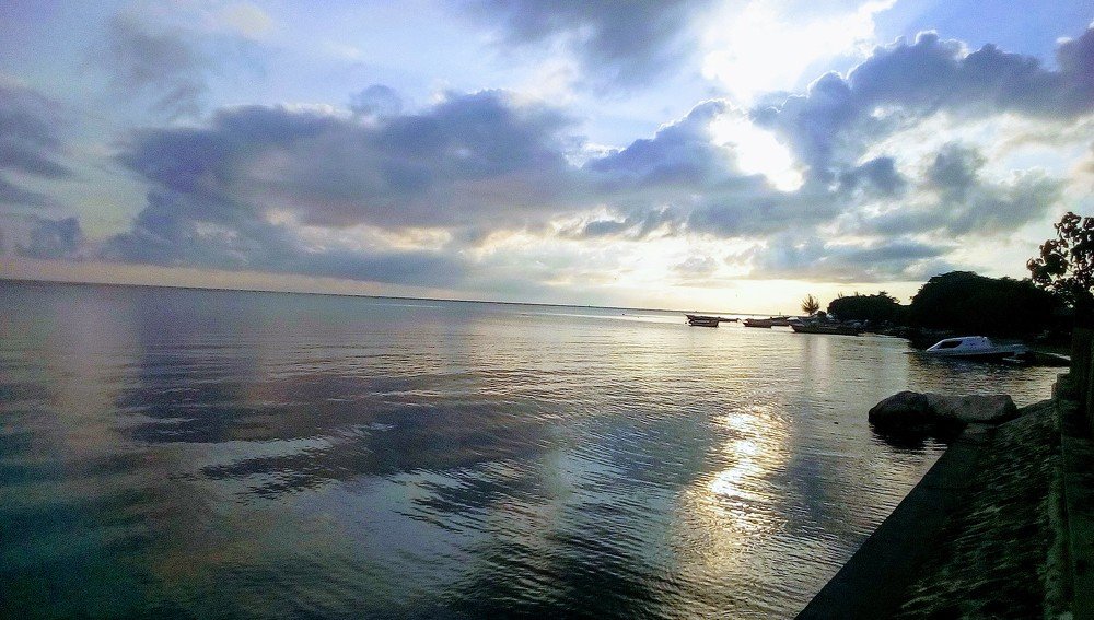 Photograph by Taylor-Ann Brown