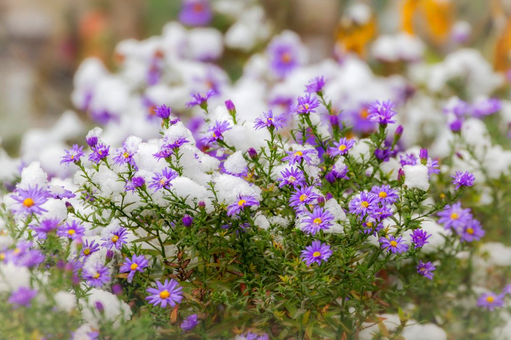 Photograph by Игорь Сарапулов