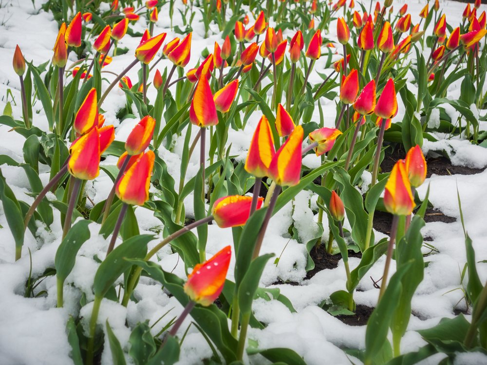 Photograph by Игорь Сарапулов