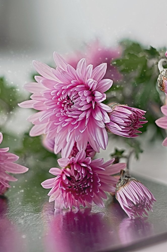 Photograph by Аликина Татьяна