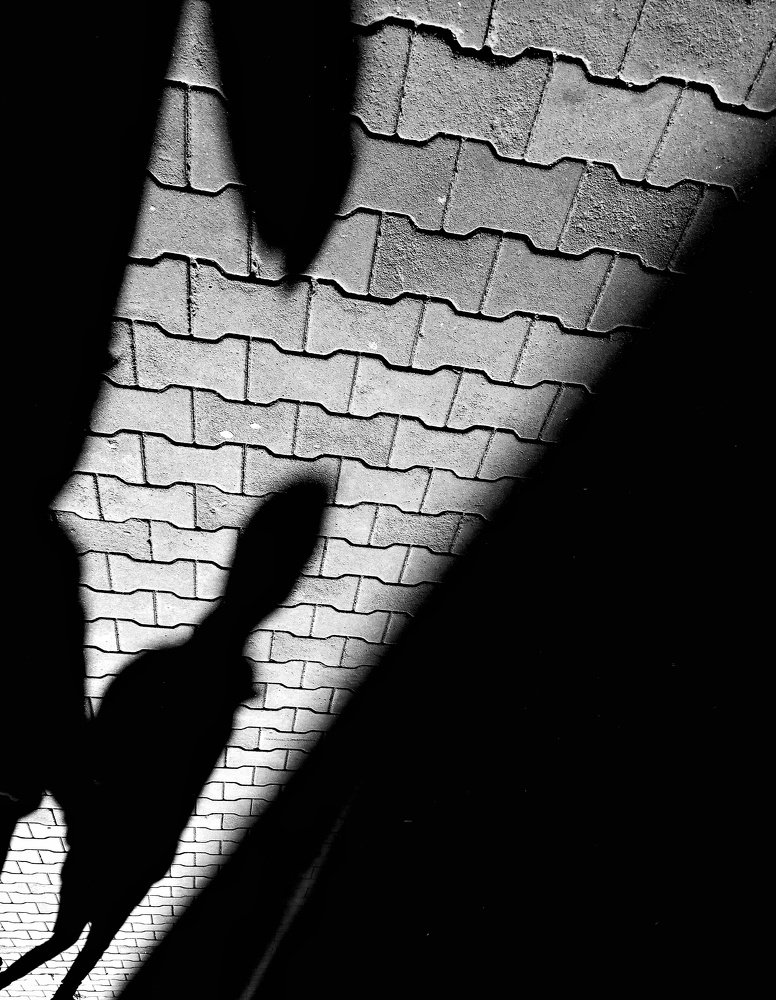 Фотография автора Dmitriy Zhuravlev