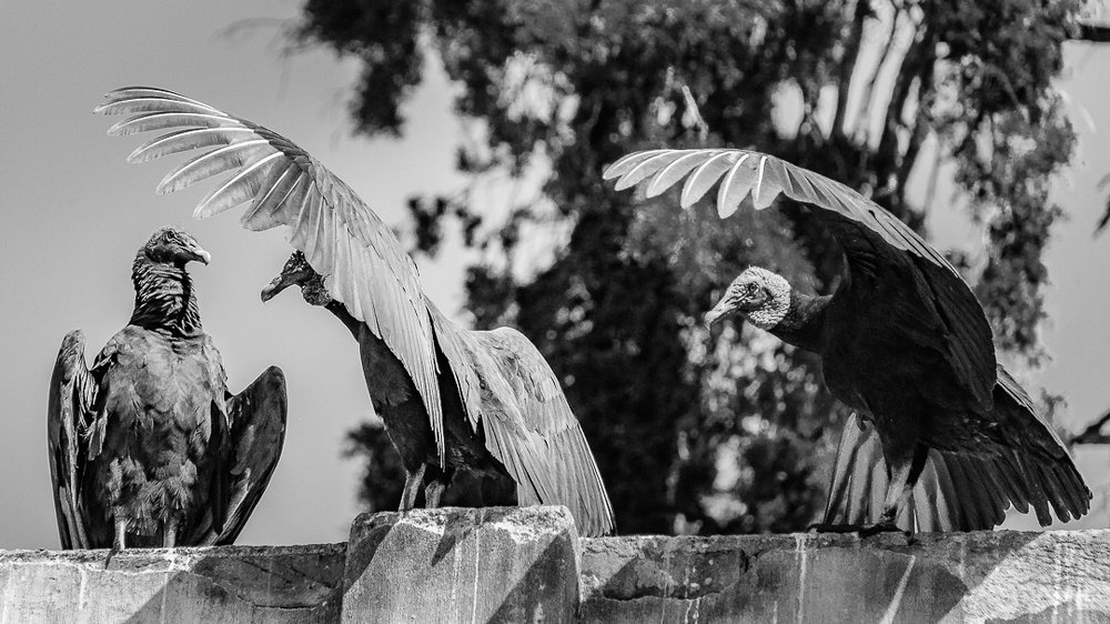 Photograph by Estuardo Estrada Alday