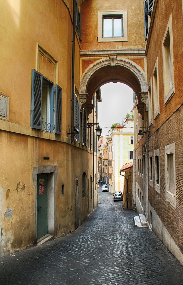 Photograph by Владимир Гречанинов