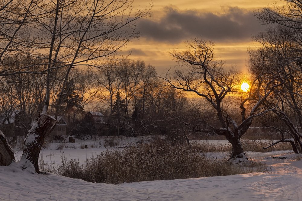 Photograph by Александр Канцур