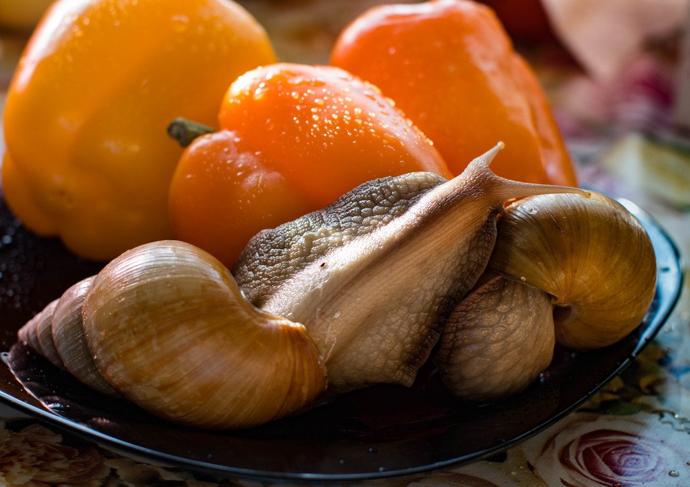 Photograph by Ольга Сафронова