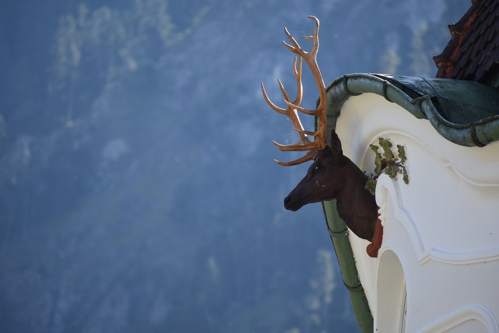 Photograph by Debjit Sarkar