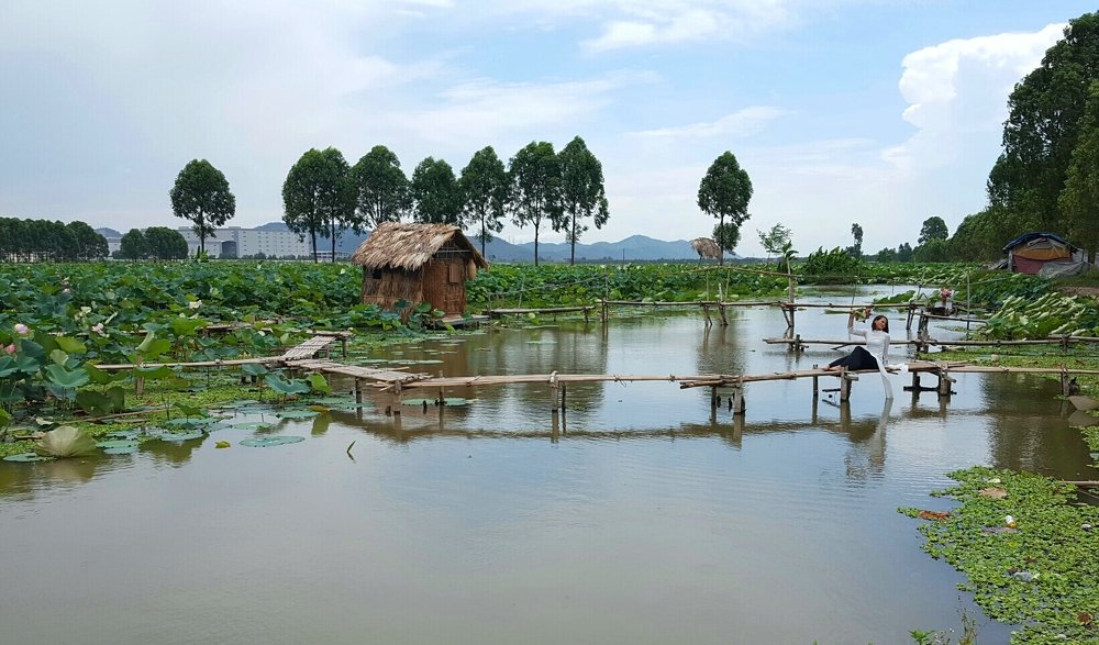 Photograph by Nguyen Phuong Lan