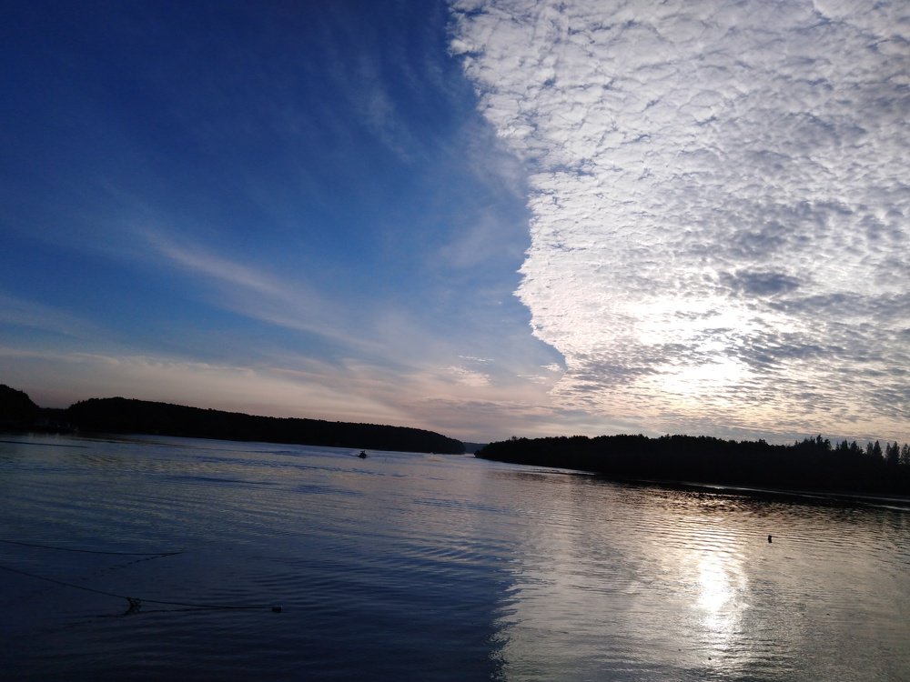 Photo #4042881