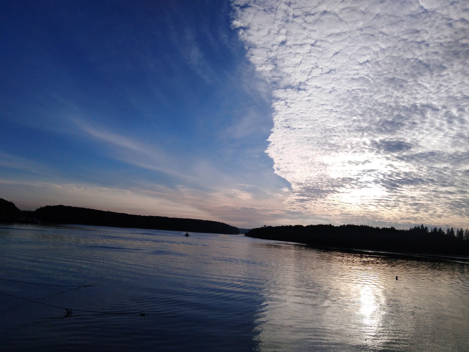 Photo #4042881