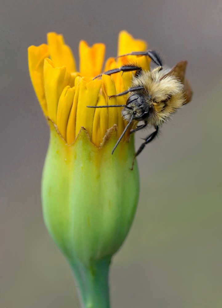 Photograph by Игорь Осипов