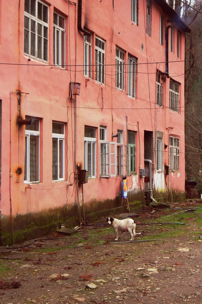 Photograph by Алена Бойцова