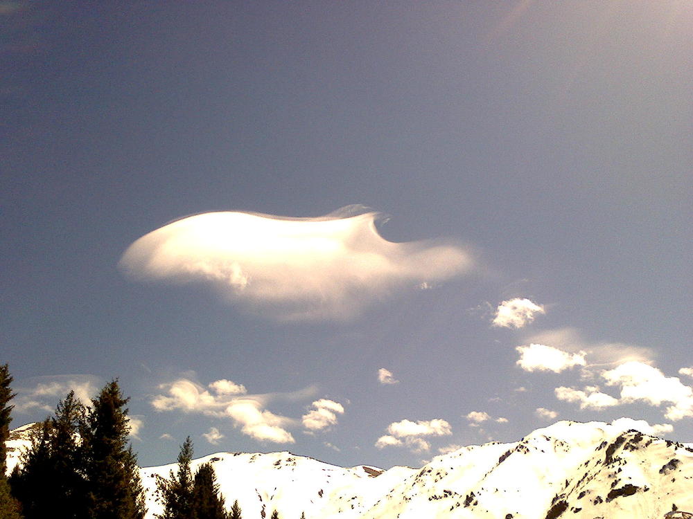 Облако-птица.