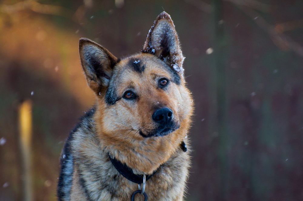 Photograph by Лапенкова Ольга