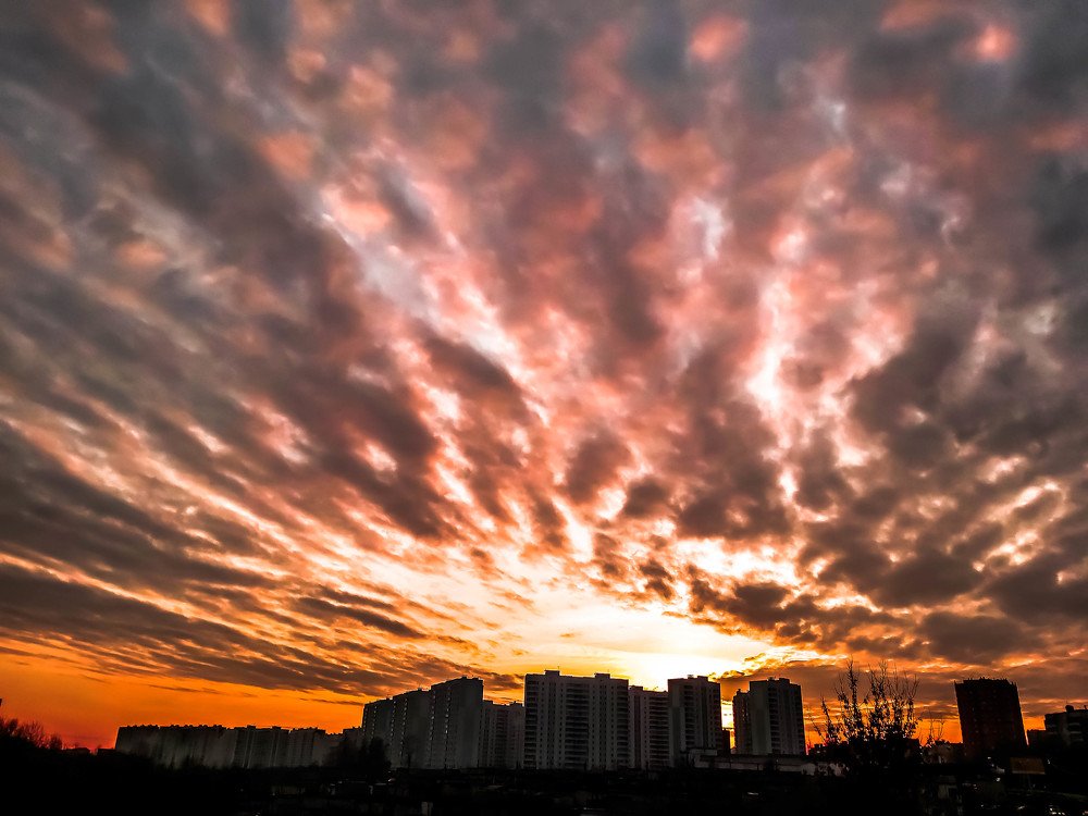 Photograph by Вероника Новикова