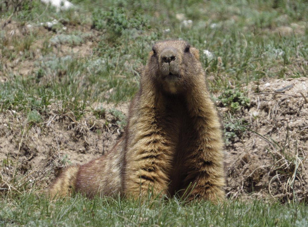 Photograph by Юрий