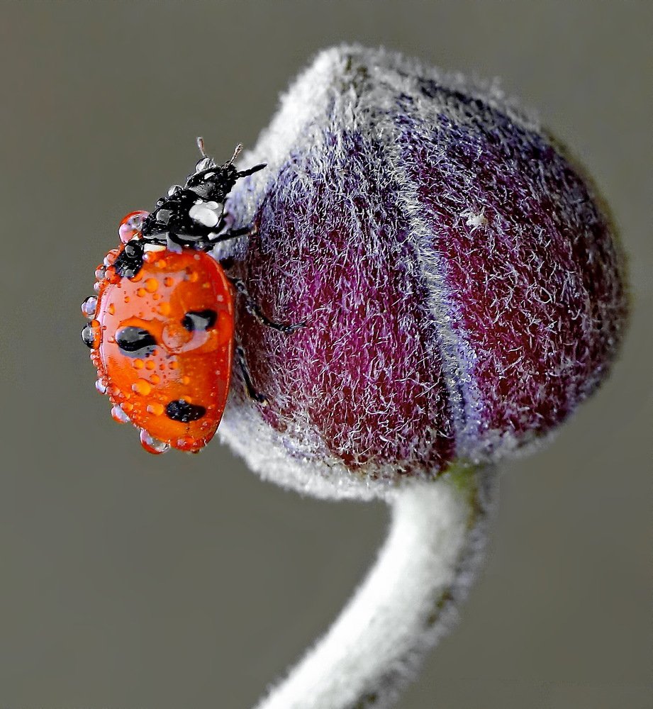 Photograph by Игорь Осипов