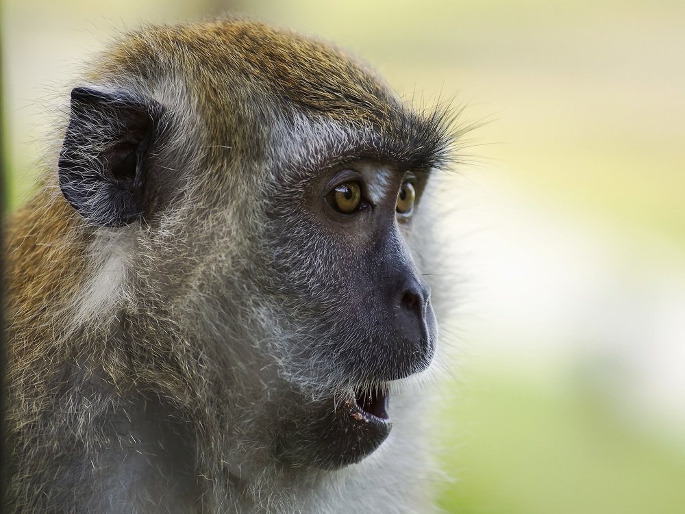 Photograph by Олег Милеев (Каминцев)