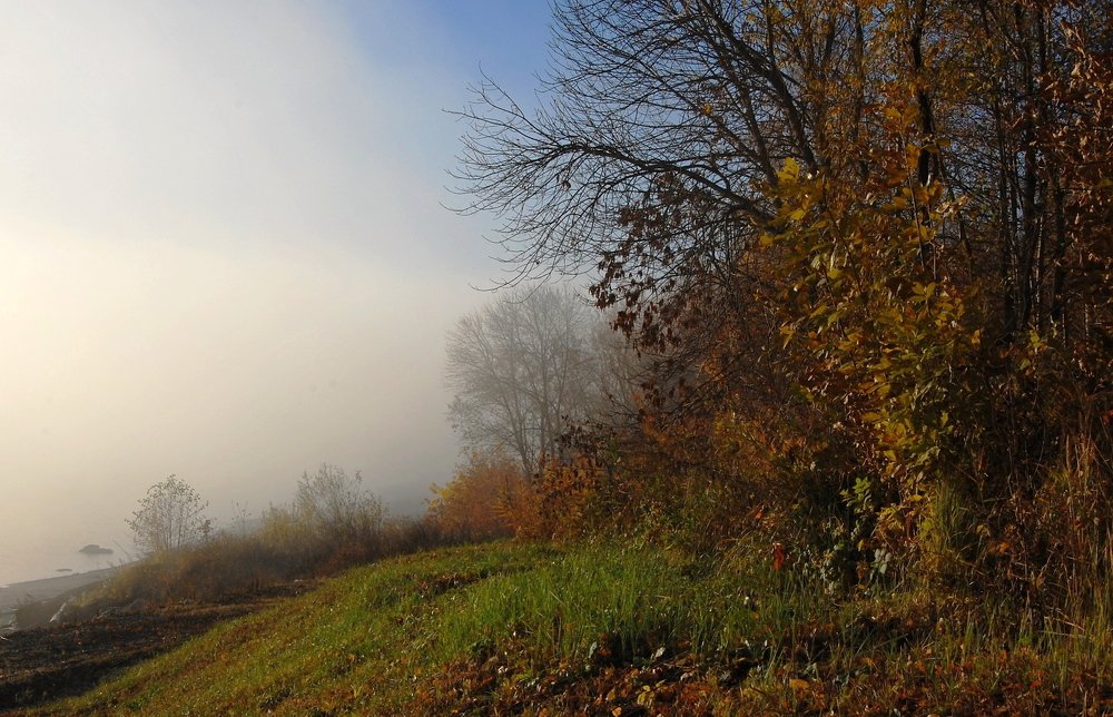 Photograph by Вольтова Наталья