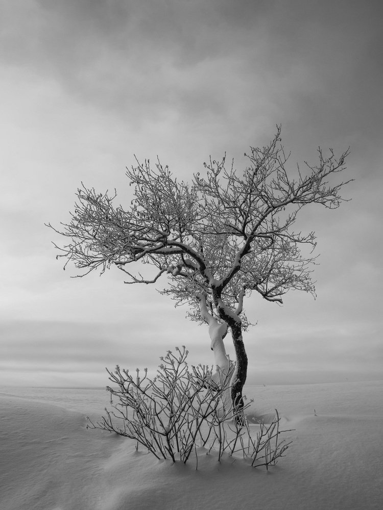 Photograph by Елена Курзина