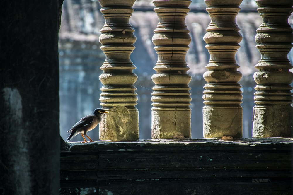 Photograph by Наталия Мостовая