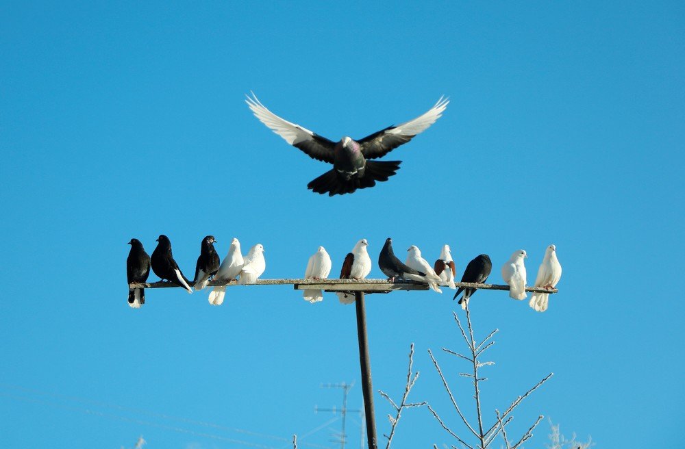 Photograph by Мария Давыдова