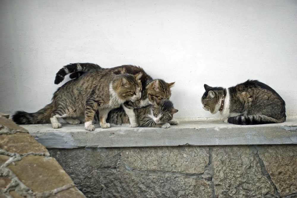 Photograph by Наталия Мостовая