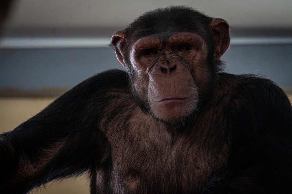 Фотография автора Maxim Mironov