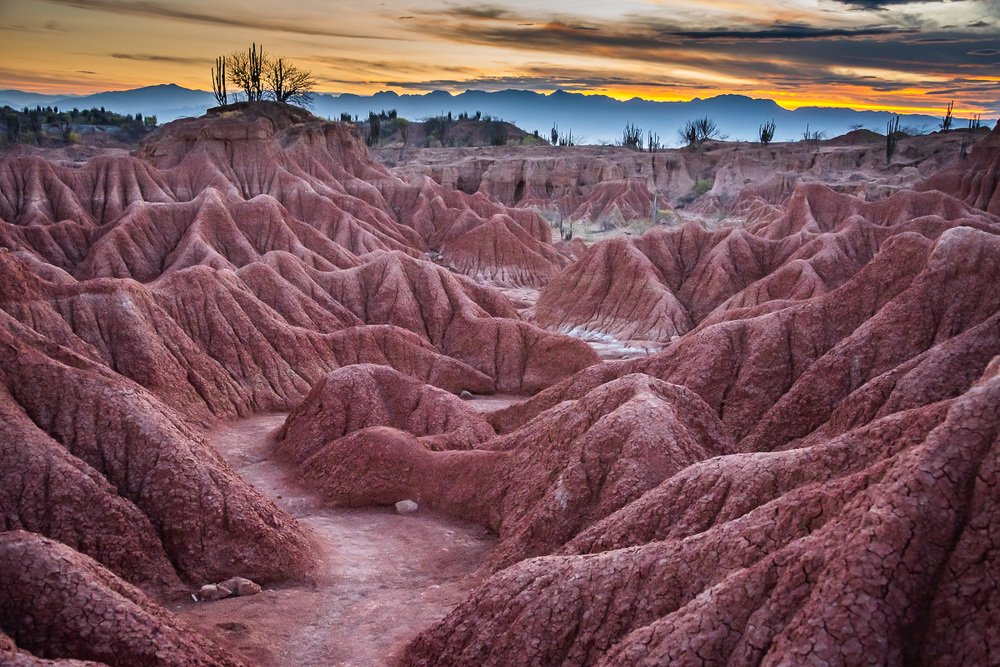 Photograph by Romina Villaverde