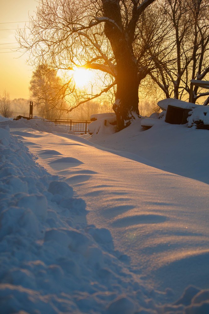 Photograph by Светлана Глебова