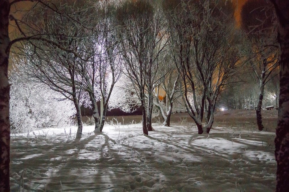 Photograph by Светлана Глебова