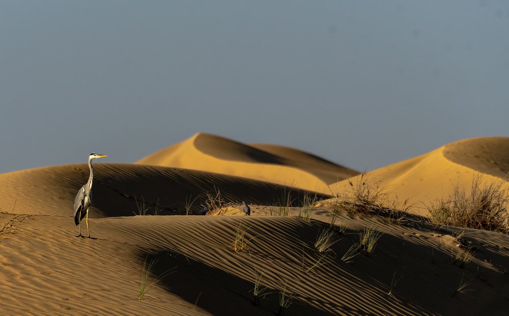 Photograph by Vignesh Ramachandran