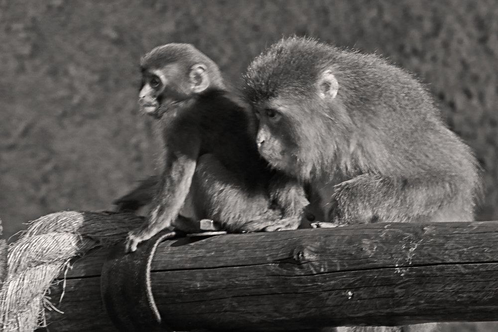 Мама предусмотрит все