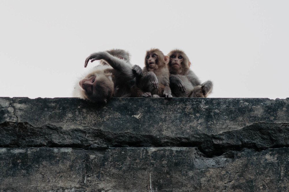 Photograph by Екатерина Соломатина