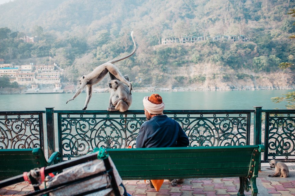 Photograph by Екатерина Соломатина