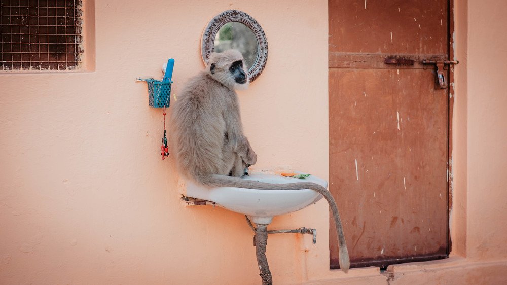 Photograph by Екатерина Соломатина