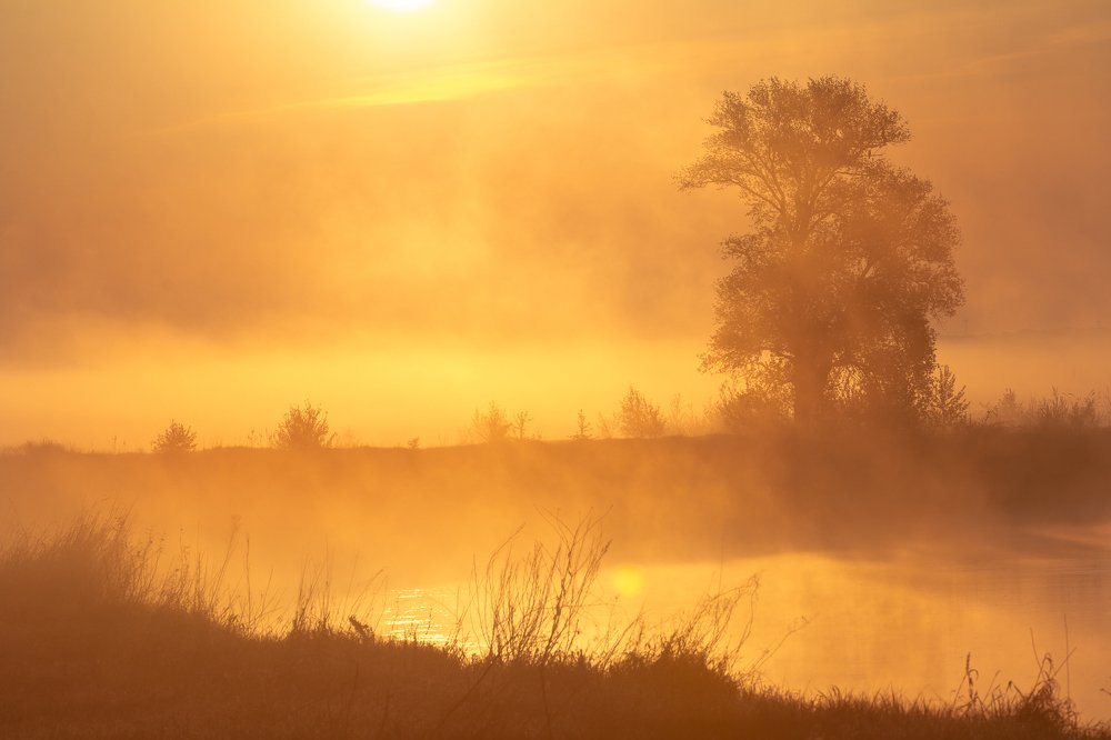 Photograph by Кобец Дмитрий