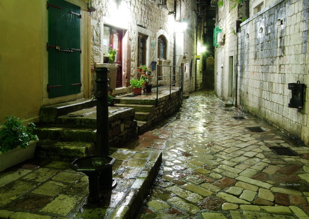 Photograph by Zoran Nikolic