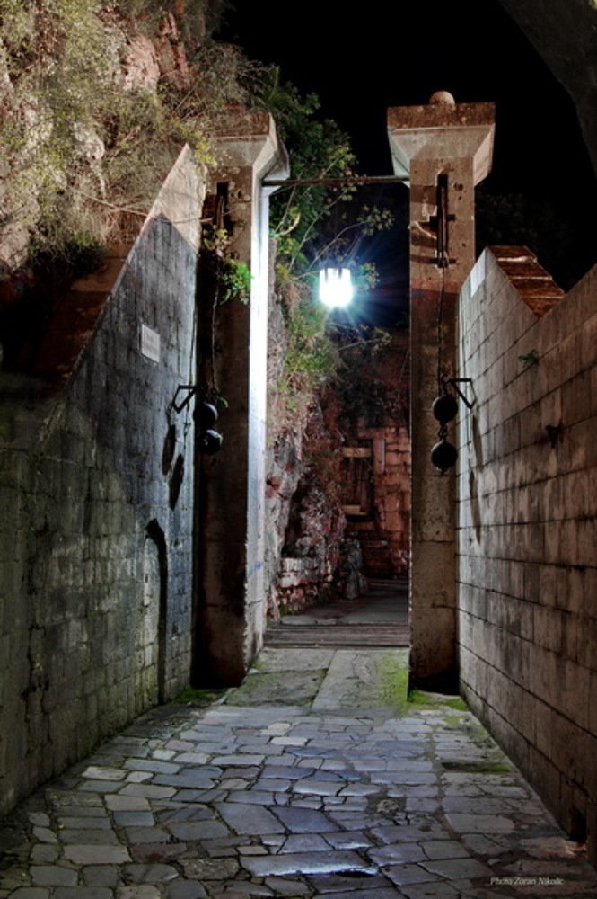 Photograph by Zoran Nikolic