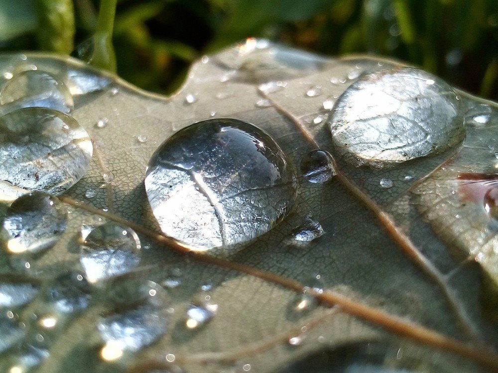 Photograph by Павел Барановский