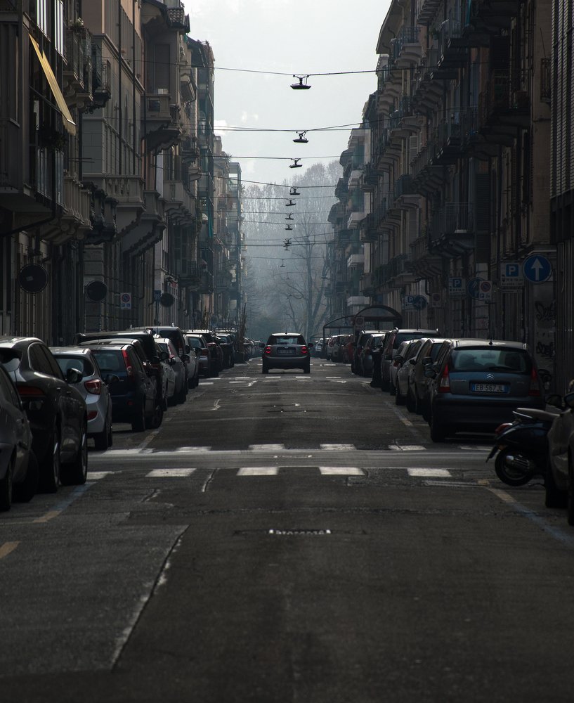 Photograph by Александр Диордиев