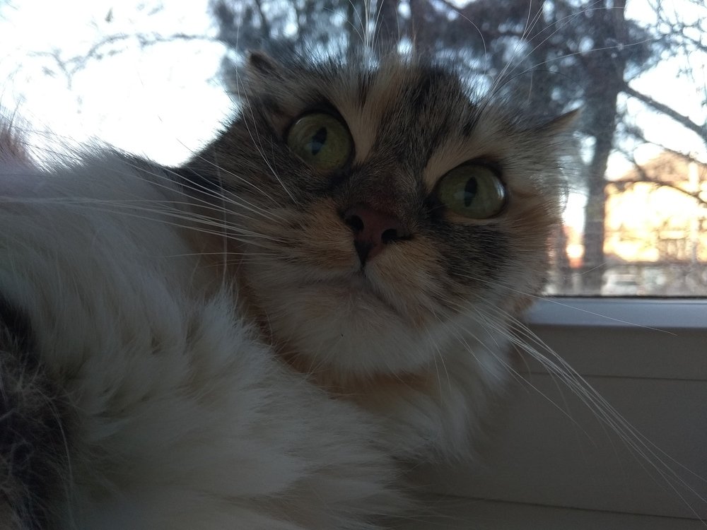 У страха глаза велики