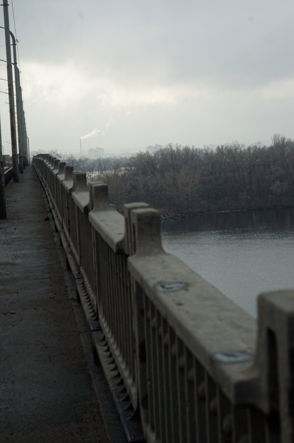 Photo #4043847