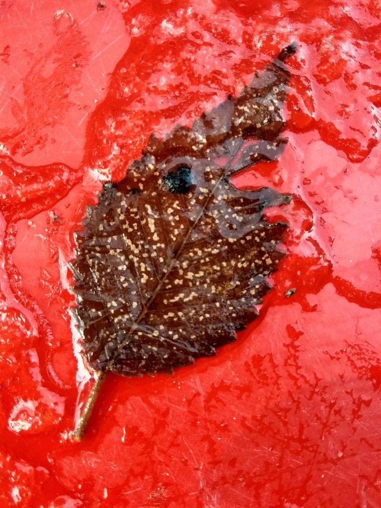 Photograph by Светлана Безъязычная